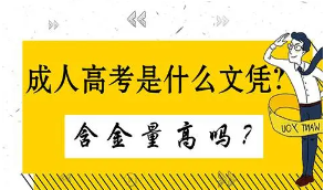 2021年成人高考哪些專業(yè)對(duì)口公務(wù)員考試呢？